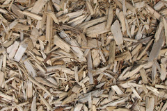 biomass boilers Litton